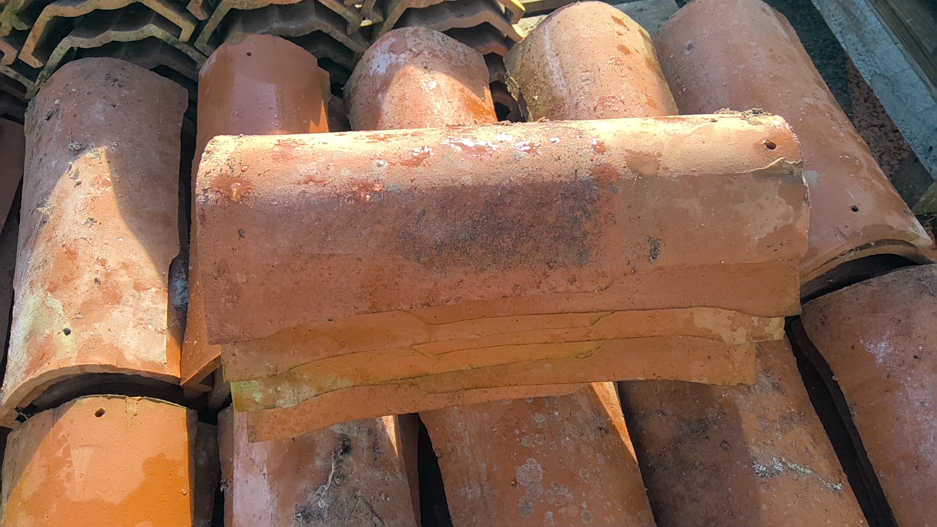 WIN_20260103_12_25_00_Pro