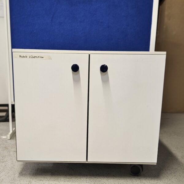 Meuble de rangement 2 portes avec roulettes 80 × 80 × 73 cm